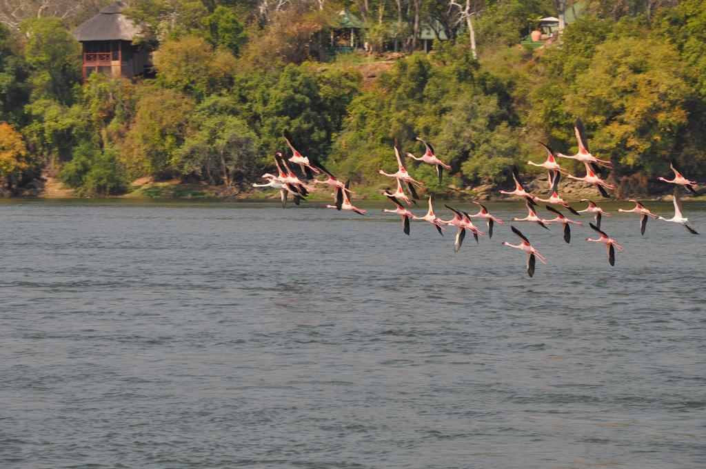 The River Club Livingstone Buitenkant foto
